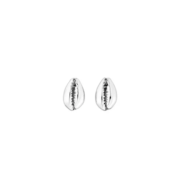 Leaf Jewelry Ohrstecker Cowrie Shell, 925 Sterlingsilber Tägliche Deals
