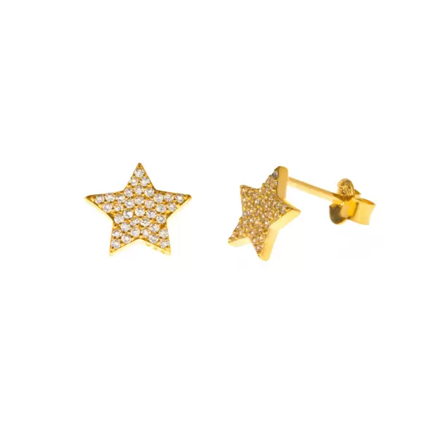 Leaf Jewelry Ohrstecker Stern mit Zirkonia, 18 K Gelbgold vergoldet Zeitlich begrenztes Angebot