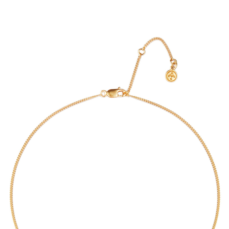 Mosuo Jewellery Geburtsstein Halskette Februar - Vermeil & Amethyst Hotsell