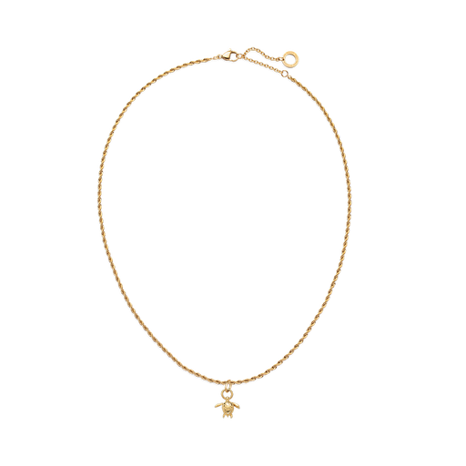 Paul Hewitt Set Turtle Charm und Halskette Gold Riesige Ersparnisse
