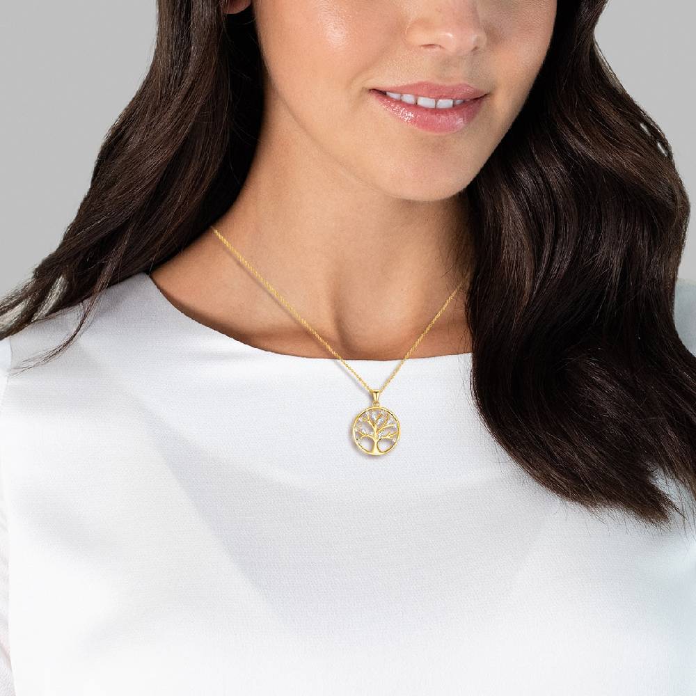 Rafaela Donata Kette mit Anhänger Sterling Silber gelbgold Zirkonia weiß 2025