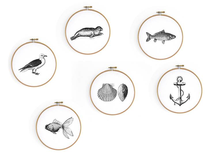Renna Deluxe Möwe _ Bild im Stickrahmen Black Friday Preise