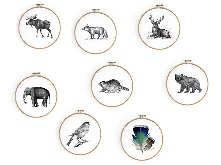Renna Deluxe Waschbär _ Bild im Stickrahmen Blitzangebot