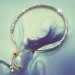 Silberdream SilberDream Armband Perlen diamantiert 925er Sterling Silber Damen SDA7004T 50% Rabatt für begrenzte Zeit