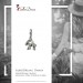 Silberdream SilberDream 925 Charm Steinbock Sternzeichen Anhänger FC7101 Günstig kaufen