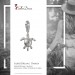 Silberdream SilberDream 925 Charm Seeschildkröte Armband Anhänger FC1002 Valentinstagsangebot