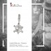 Silberdream SilberDream 925 Charm Schildkröte Armband Anhänger FC1001 Räumungsverkauf