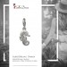 Silberdream SilberDream Charm Seepferdchen 925er Silber Armband Anhänger FC727I Online