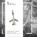 Silberdream SilberDream 925 Charm Flugzeug Armband Anhänger FC3043 Fabrikverkauf